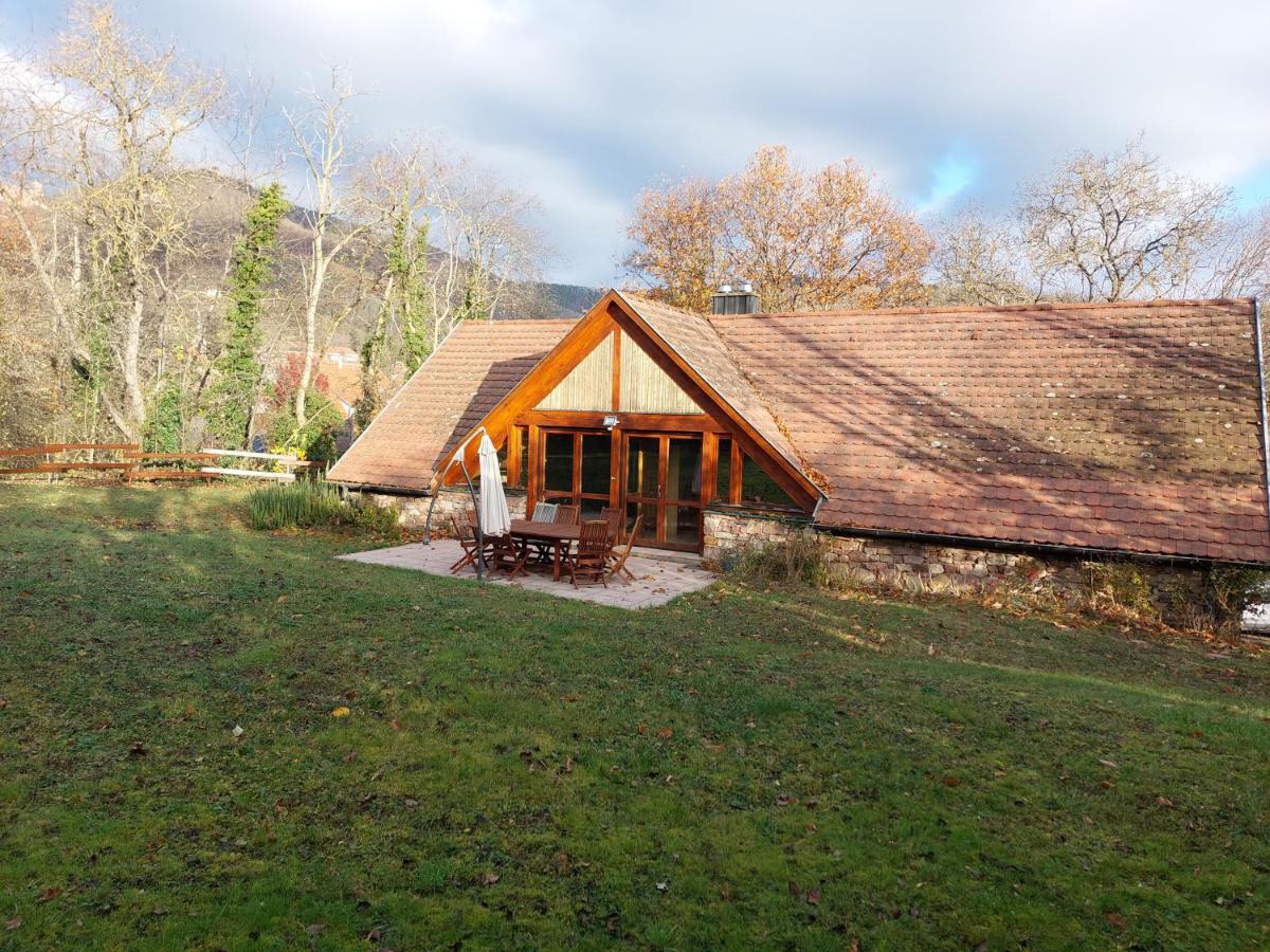La Canopee Alsacienne - Magnifique Maison A Ribeauville Exteriör bild
