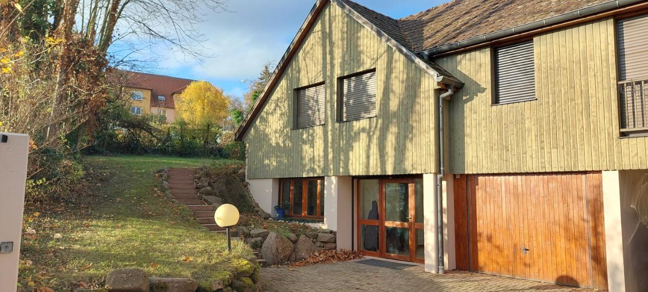 La Canopee Alsacienne - Magnifique Maison A Ribeauville Exteriör bild